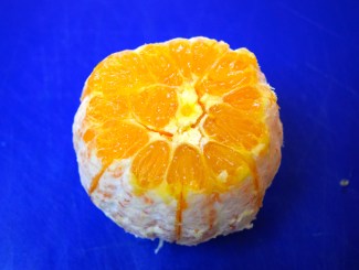 oranges navel mary