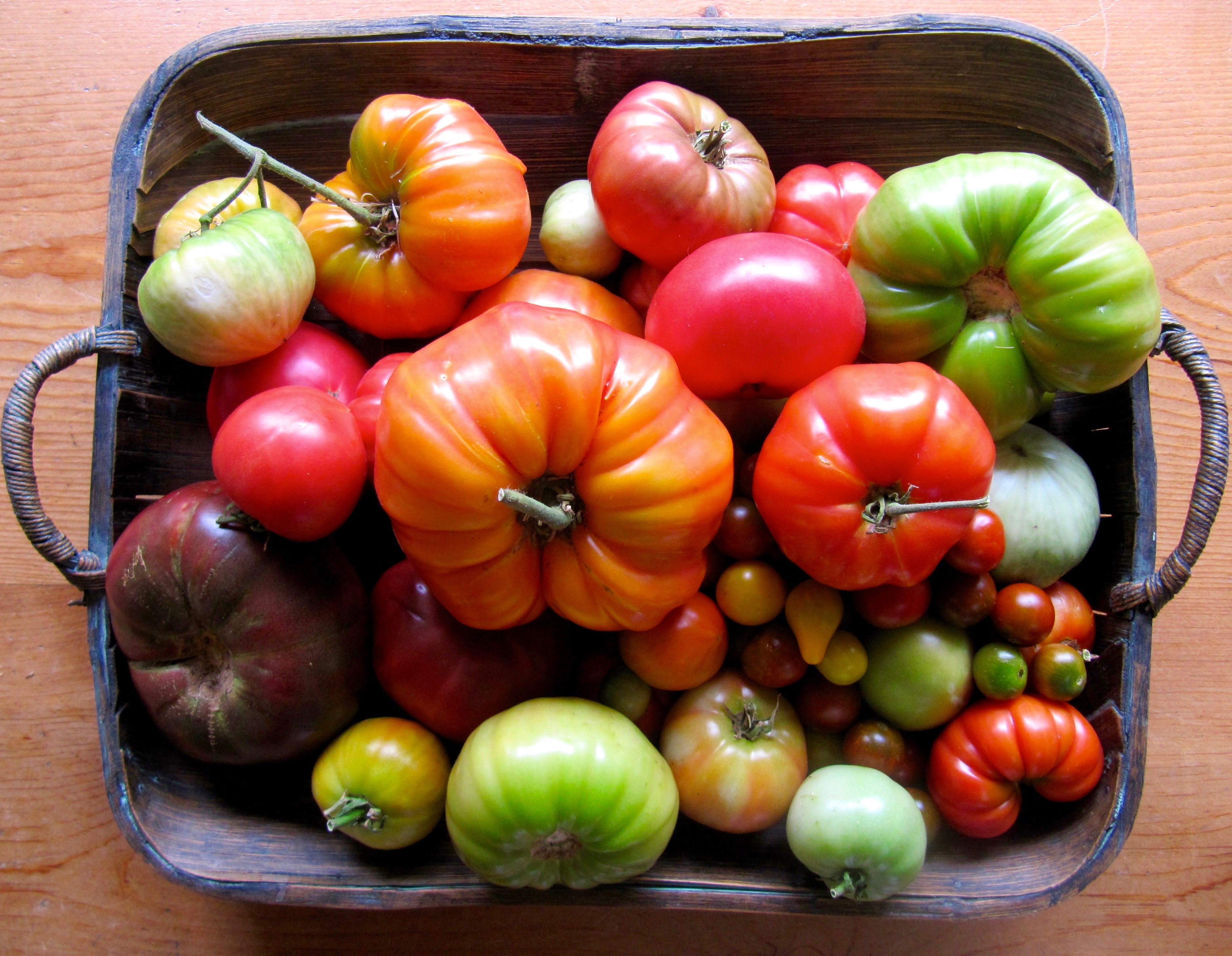 img_3293.jpg?w=305&h=236