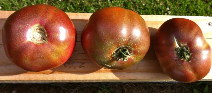 vegetable gardens vegetable gardening