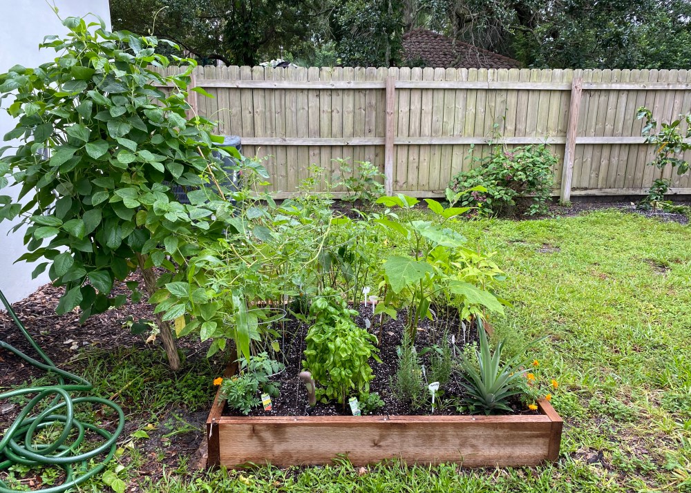How to Build a 4 x 4 Raised Garden Bed@judyschickens
